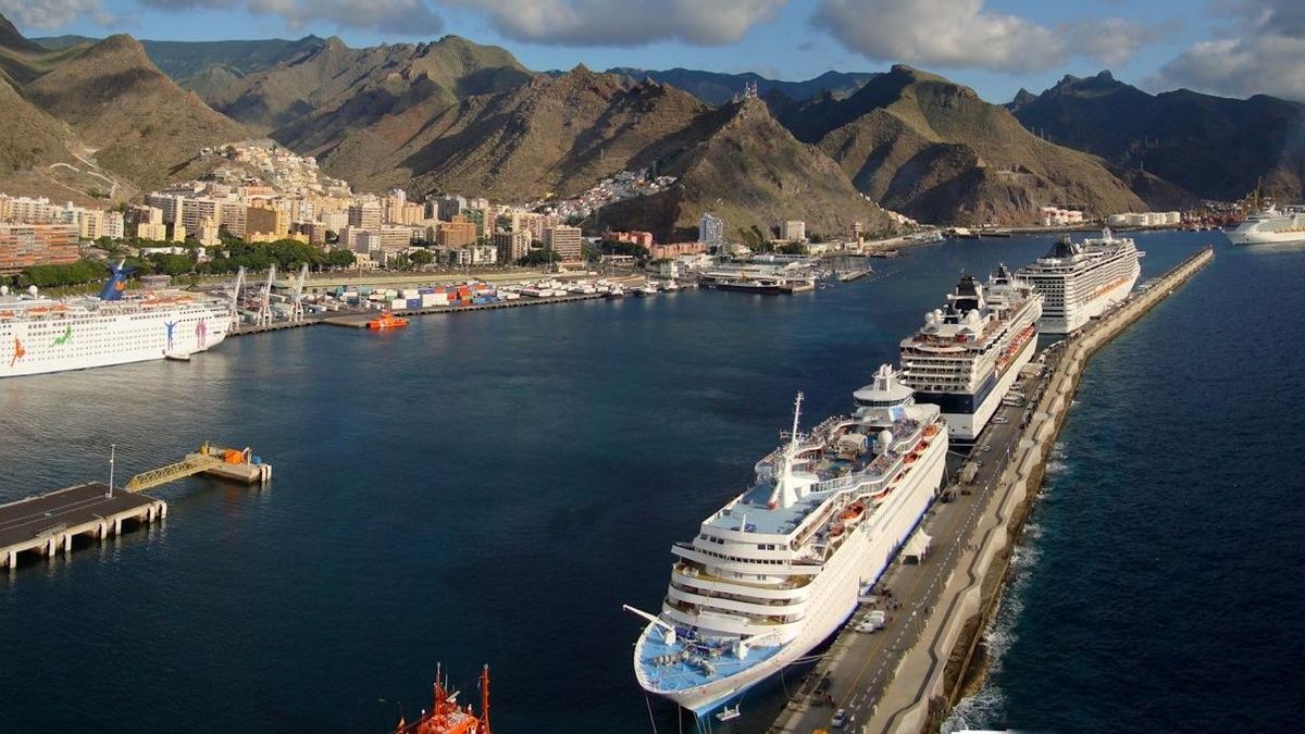 Localizada una hembra de mosquito Aedes aegypti en el puerto de Santa Cruz de Tenerife