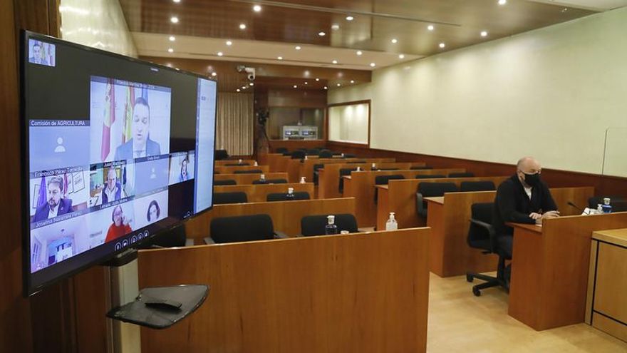 Comisión por videoconferencia en las Cortes