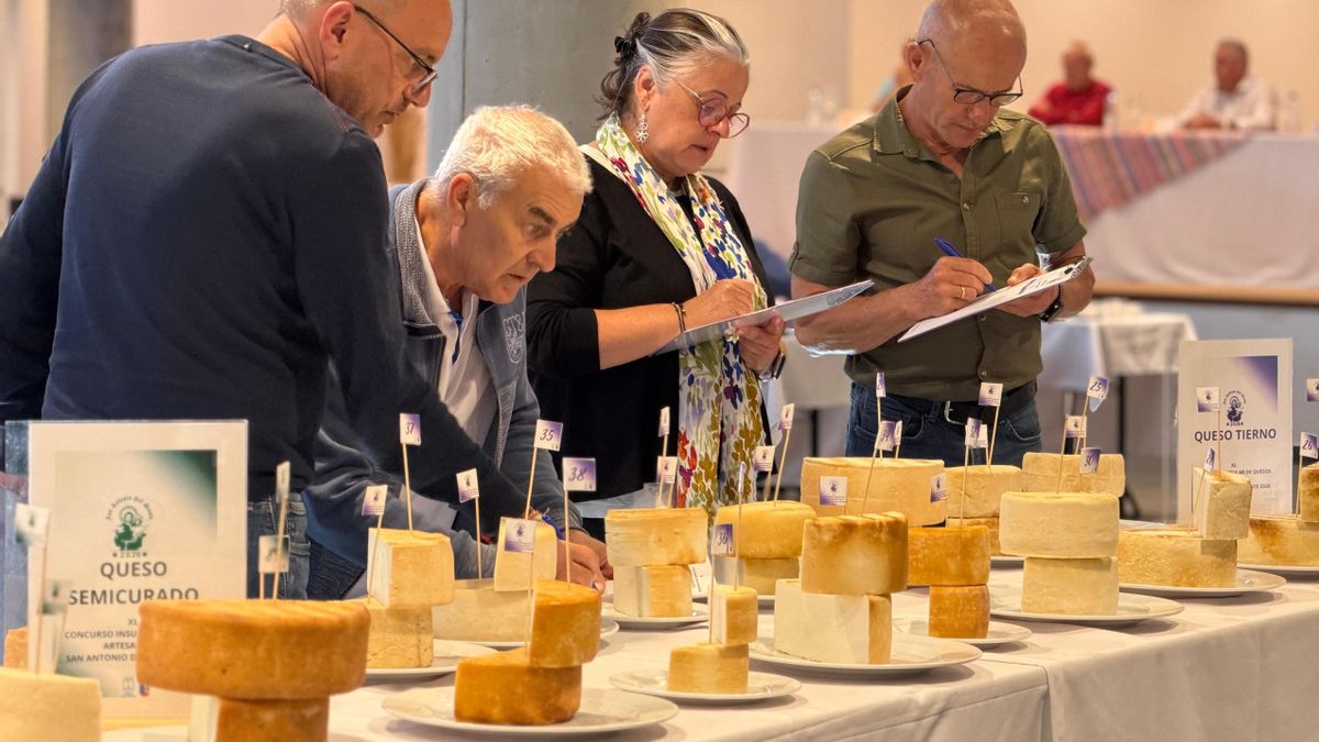 El XL Concurso Insular de Quesos Artesanales de San Antonio del Monte reúne 69 muestras