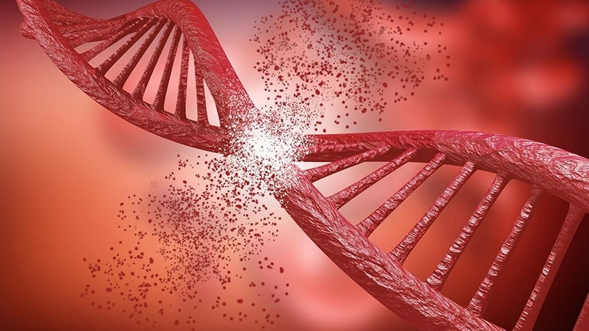 Avances en el conocimiento de la reparación del ADN para entender el origen del cáncer