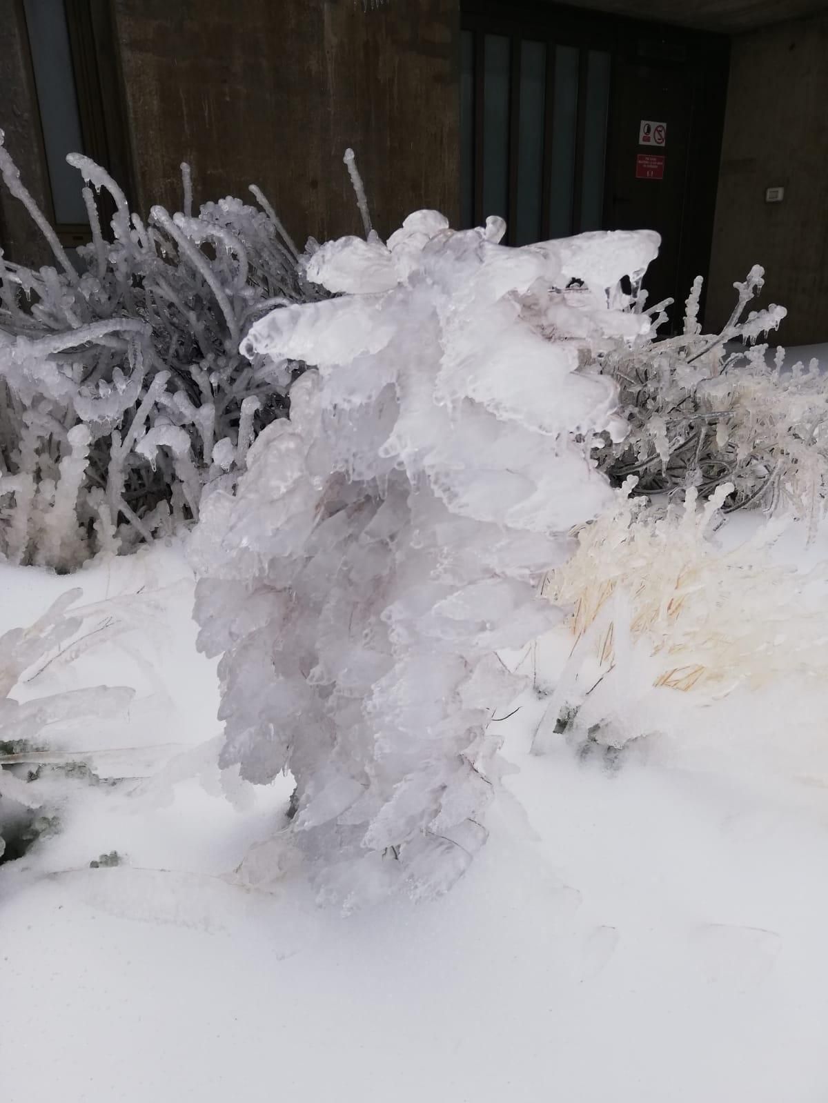 La ola de frío  ha  esculpido una estampa polar en las cumbres de La Palma / ANA  BEA