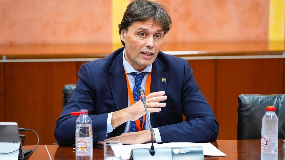 Francisco Oliva, presidente de la AUPA, en el Parlamento de Andalucía