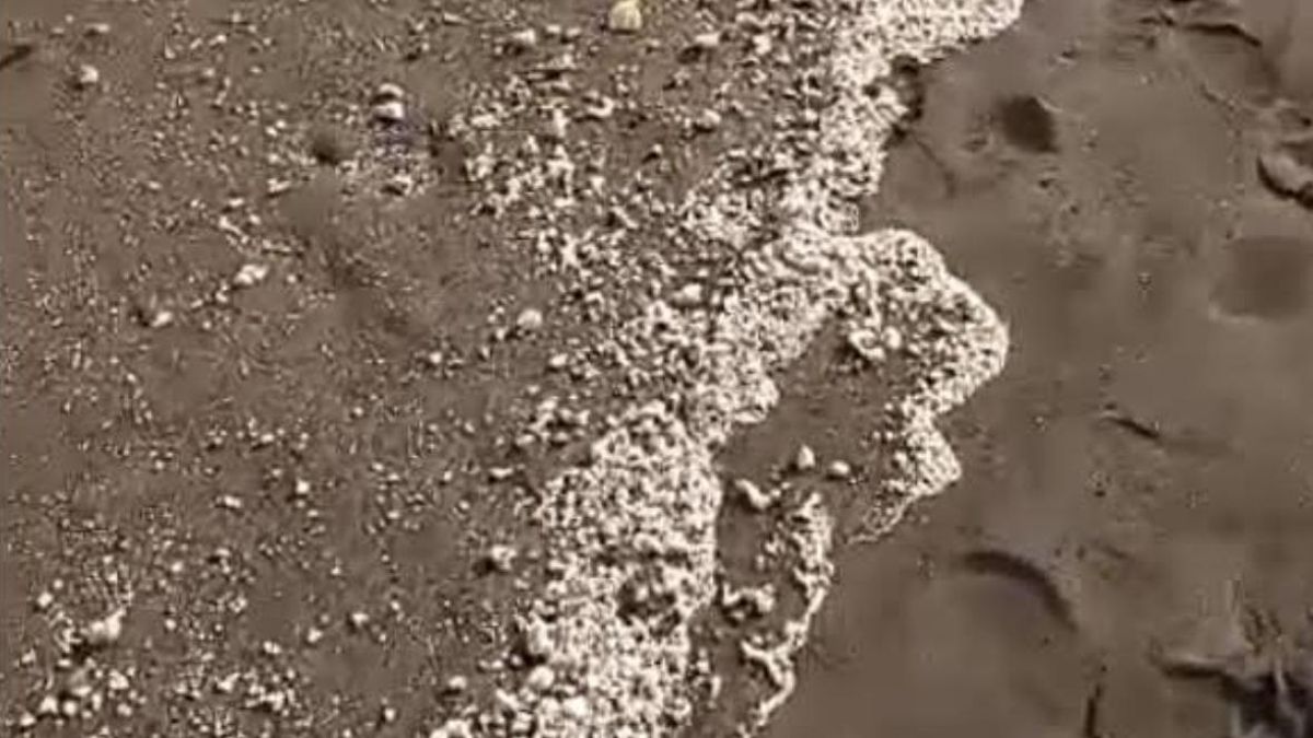 Sedimentos depositados en la arena de la playa de Melenara.