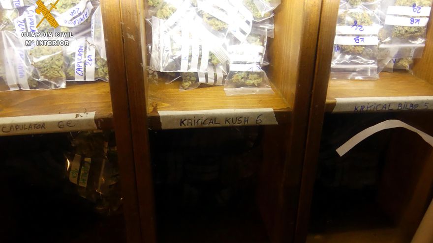 Marihuana intervenida en la asociación cannábica