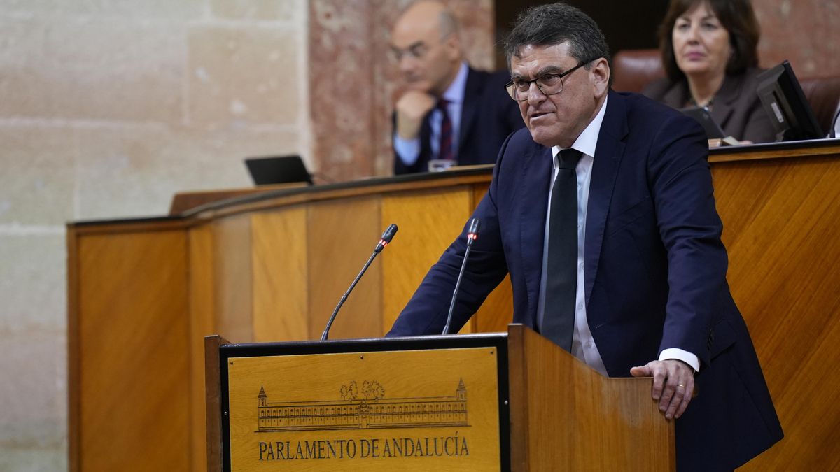 El diputado de Vox Rafael Segovia, durante su intervención en el Parlamento.