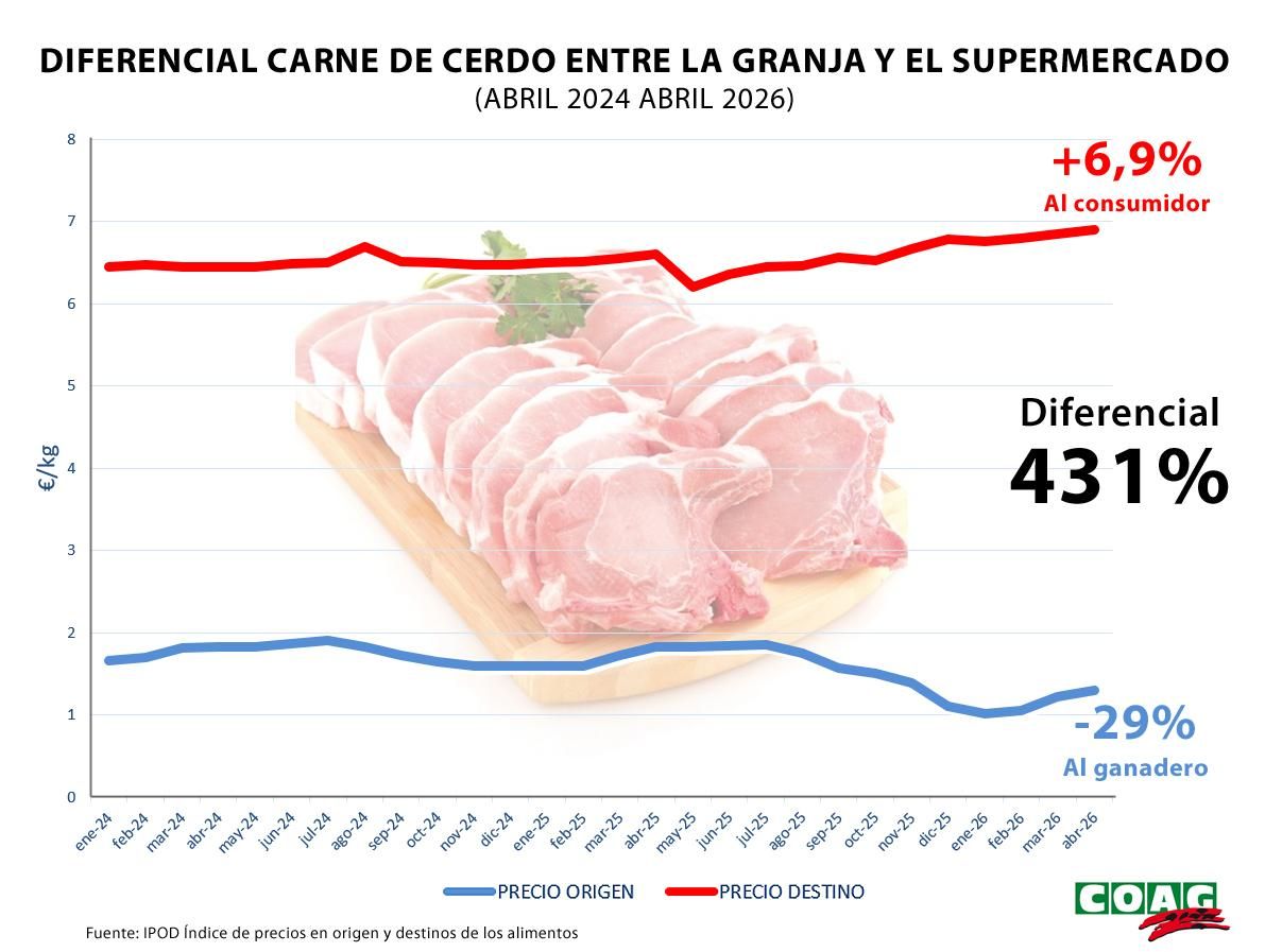 Grafico de la evolución del precio de la carne de cerdo.
