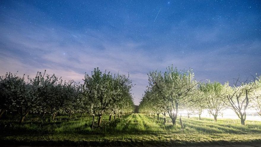 España, a la cabeza en la venta de pesticidas en la Unión Europea en 2016