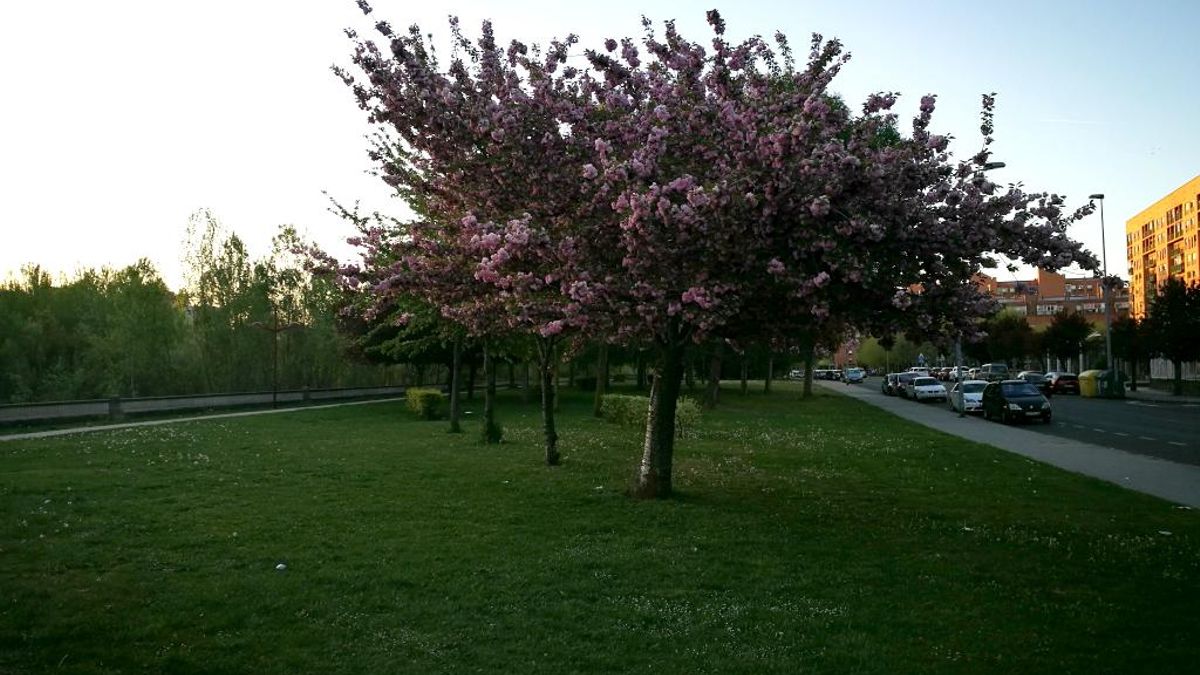 El tiempo en León hoy: la Aemet prevé un jueves poco nuboso y temperaturas en ligero ascenso