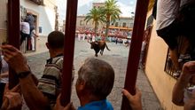 otro de los momentos de los toros de Coria en el encierro / http://turismoextremadura.com/
