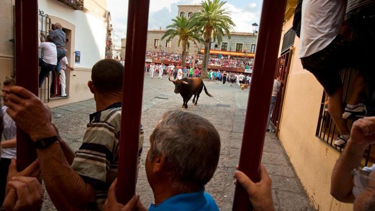otro de los momentos de los toros de Coria en el encierro / http://turismoextremadura.com/
