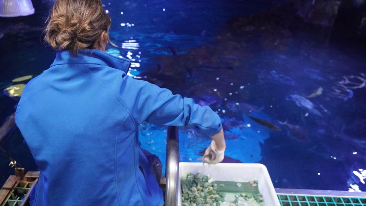 La alimentación se adapta a cada especie e individuo.