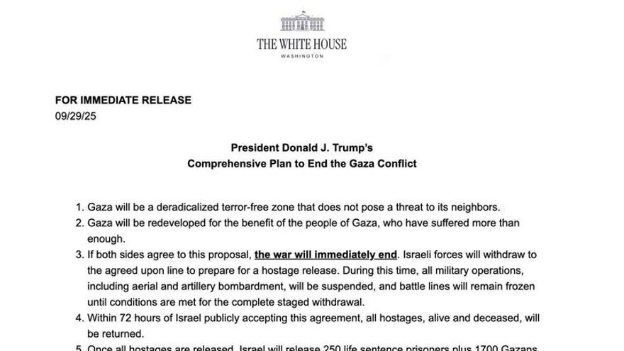 These are the 20 points of Trump's plan for Gaza