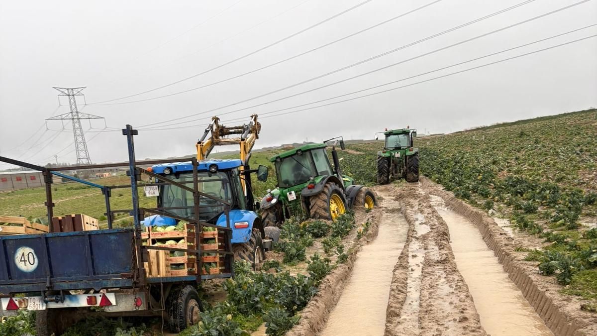 Situación de los caminos