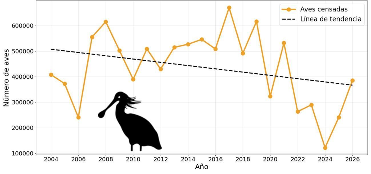 Datos del International Waterbird Census realizado en el Espacio natural de Doñana y zonas aledañas.