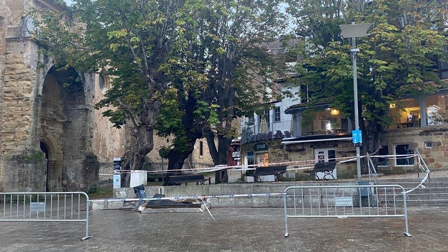 Vallado provisional de los castaños del Corro Campíos