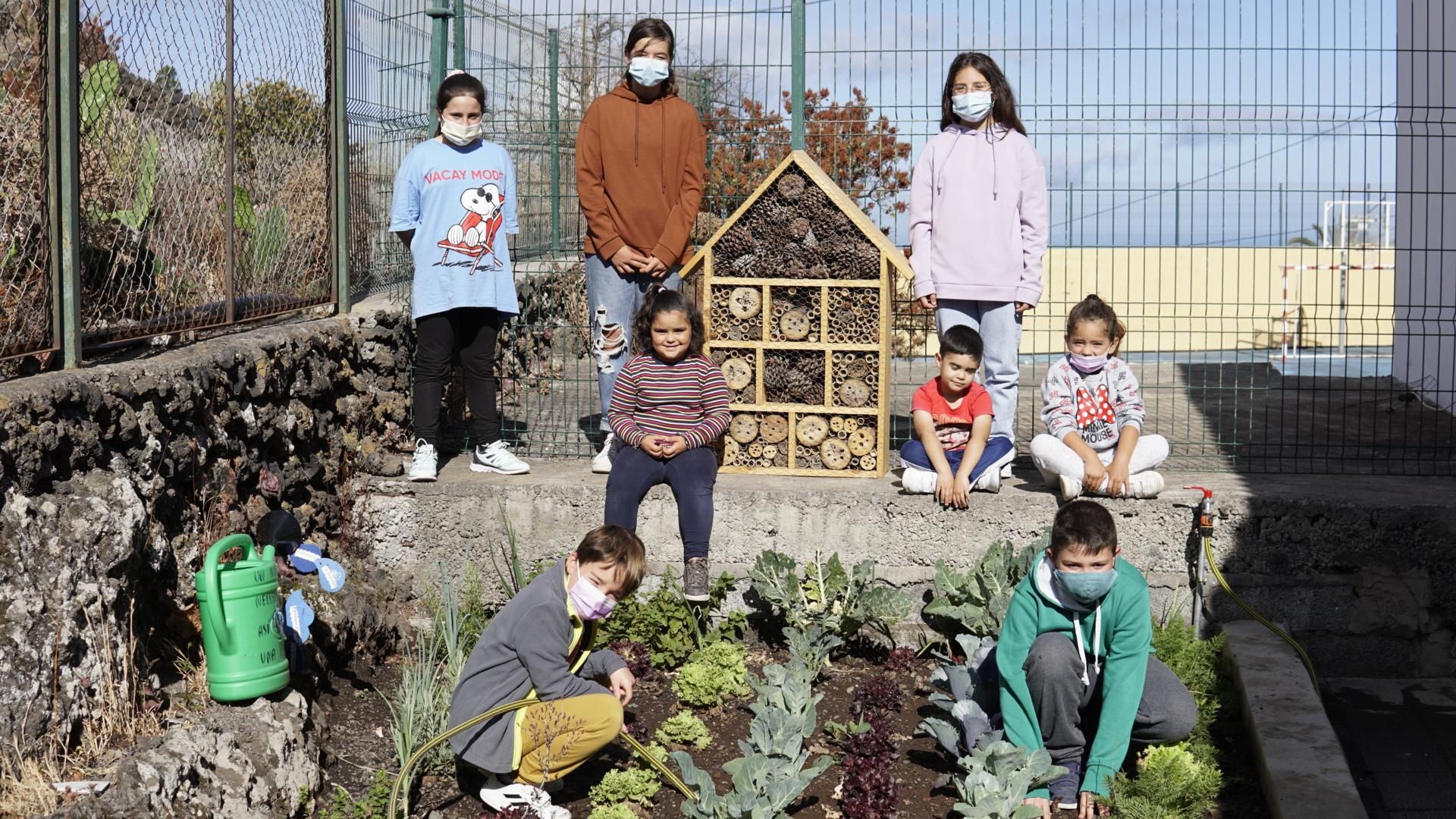 Alumnos en el 'hotel de insectos'.