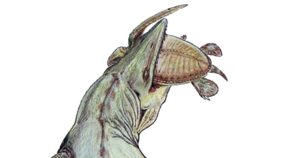 ¿Qué criatura marina pudo dejar una vértebra tan grande en Misisipi? Su fósil apunta a un depredador sin precedentes