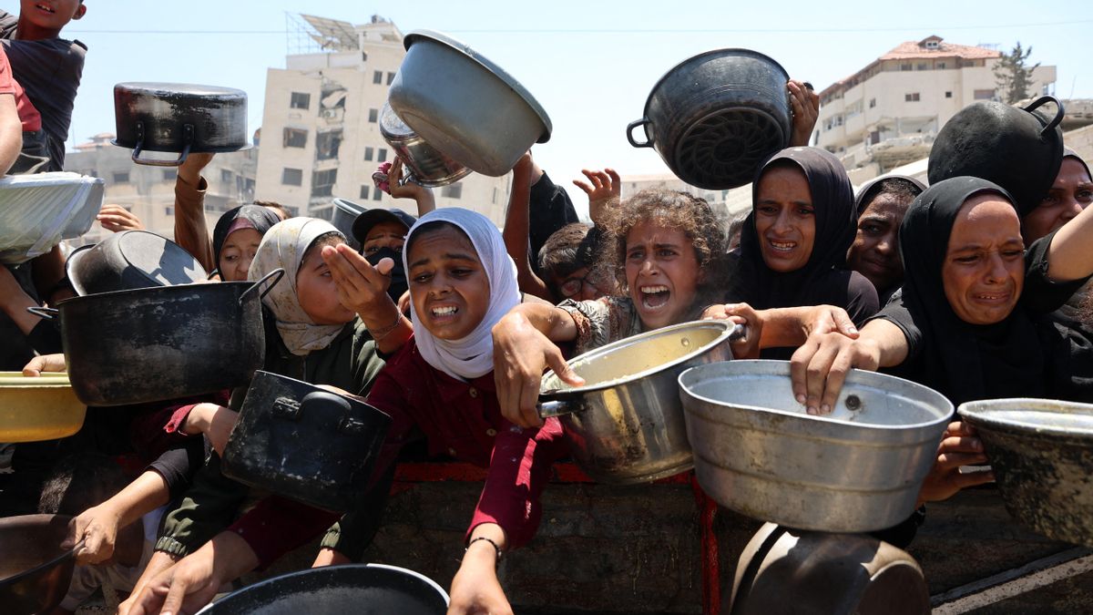 Colas del hambre en Gaza, verano de 2025