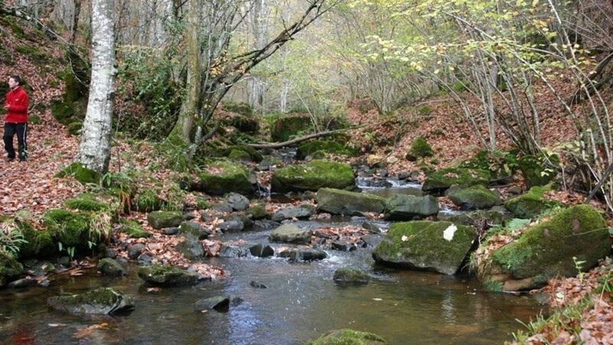 Monte Hijedo.