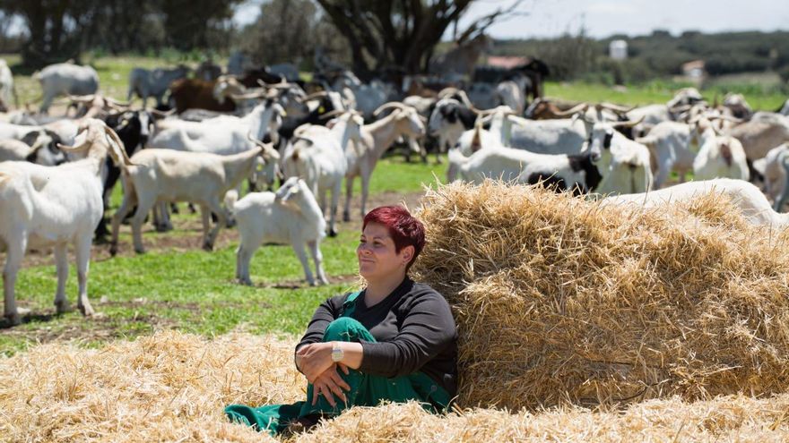 Entrecabritos, una ganadería turolense que pide auxilio: "Sin apoyo institucional, no hay premio que valga"