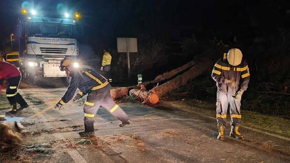 Los bomberos retiran un árbol de una carretera que fue derribado por el viento.