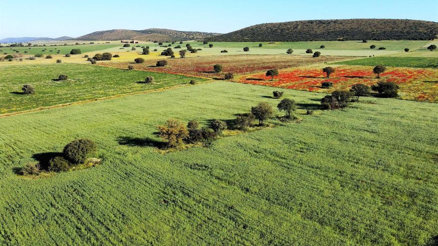 El rechazo al nuevo intento para extraer tierras raras en Ciudad Real ya traspasa fronteras