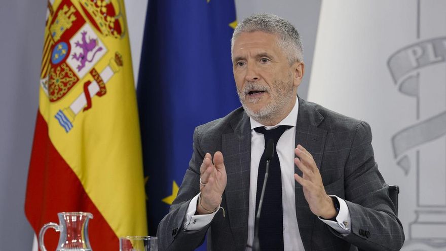 El ministro del Interior, Fernando Grande-Marlaska, durante la rueda de prensa posterior al Consejo de Ministros, este martes en La Moncloa.-EFE/ Chema Moya