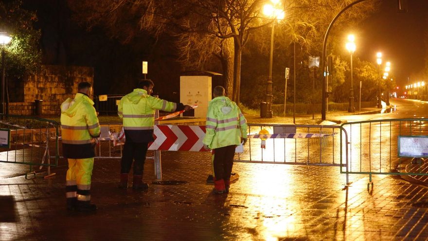 La avenida del Alcázar, cortada al tráfico ante el riesgo de caída de árboles.