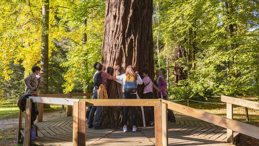 El Señorío de Bertiz, en Navarra.