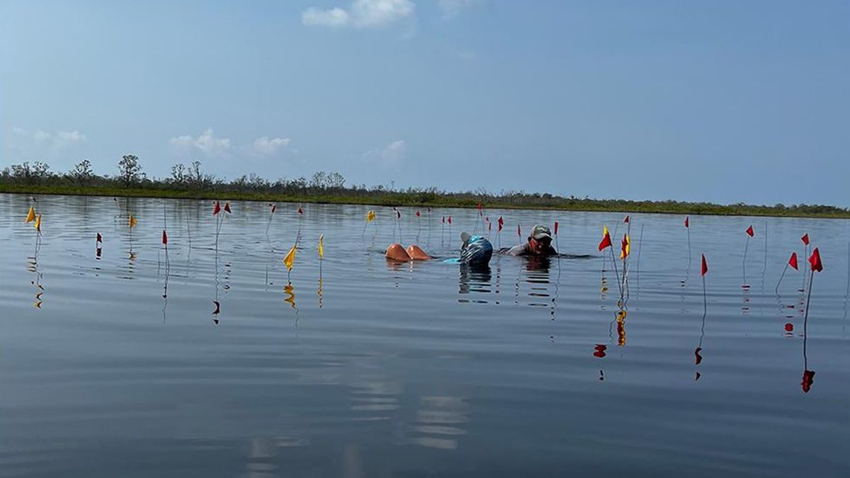 El hallazgo submarino que reescribe la historia de la producción de sal en el mundo maya