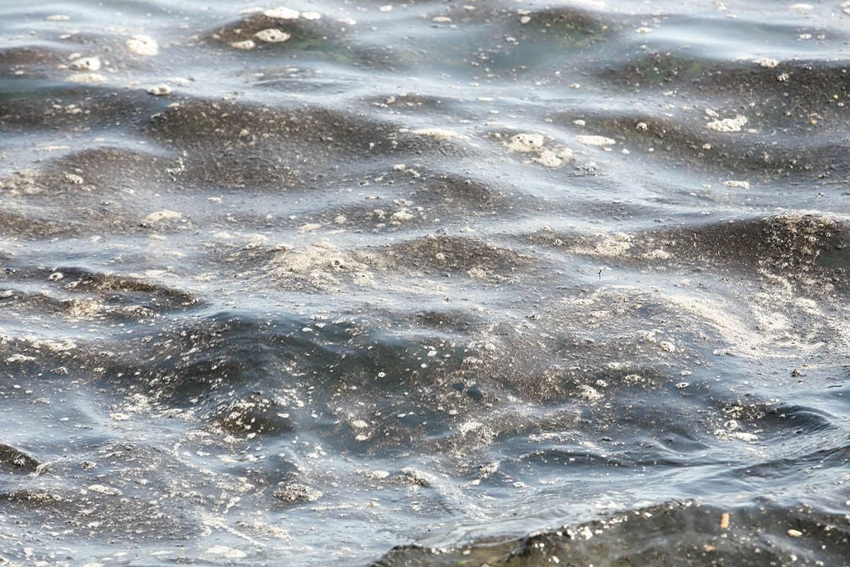 Manchas de fuel en la Playa de Tasartico. ( Foto: Alejandro Ramos)