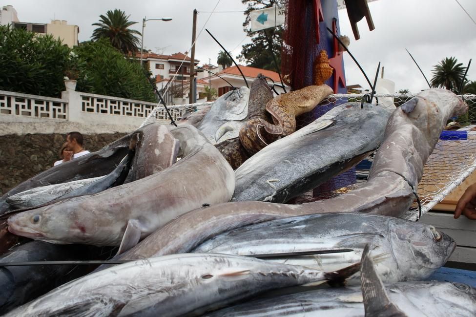 Romería de Teror (ALEJANDRO RAMOS)