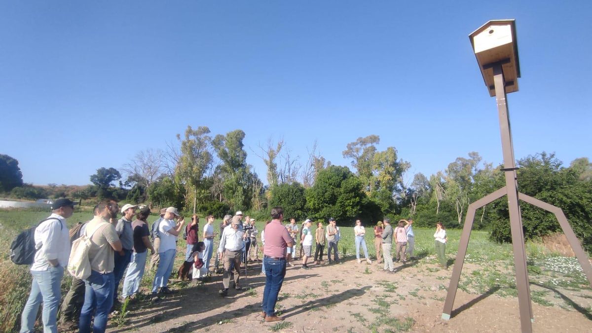 Proyecto para la mejora de la conectividad ecológica en el área piloto AP01 de la campiña de Córdoba.
