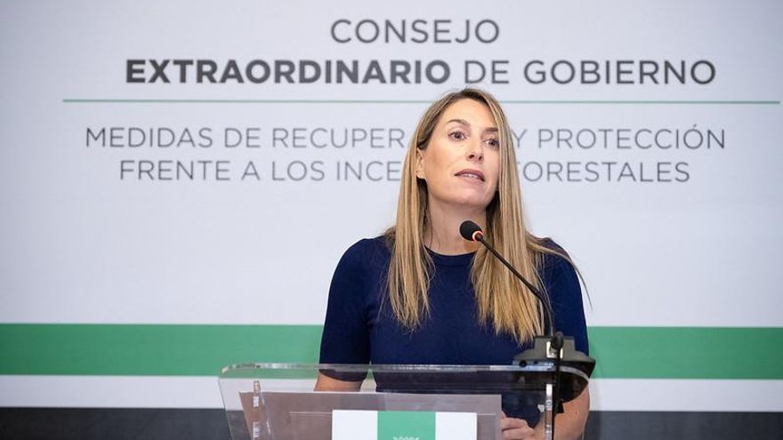 Extremadura pide que se modifique la Ley de Montes para permitir el cambio de uso forestal tras un incendio