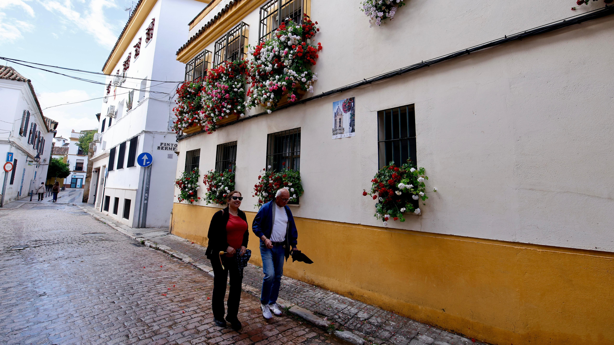 Primer premio de Rejas y Balcones en Fernán Pérez de Oliva, 7
