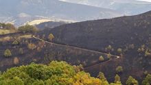 Las 35.500 hectáreas quemadas en Galicia en la ola de incendios avanzan el peor balance desde 2006