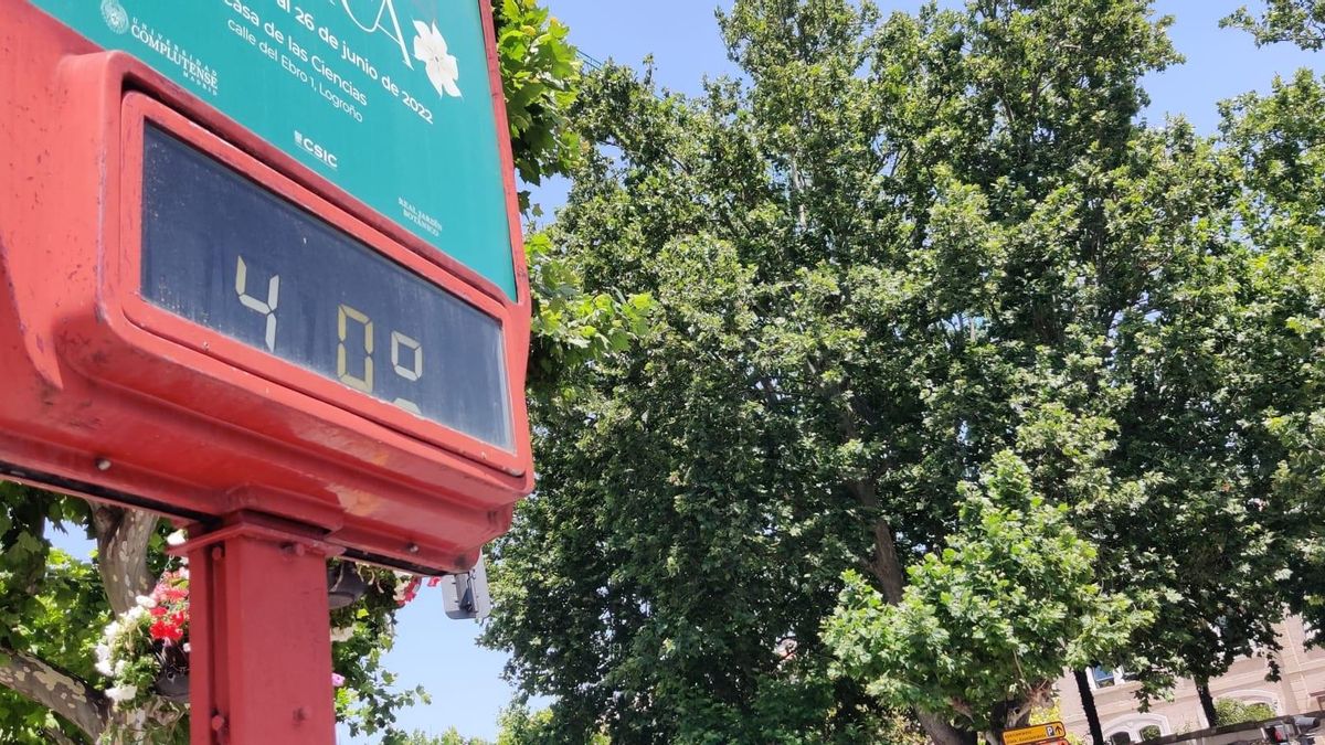 Archivo - Termómetros a 40 grados altas temperaturas, calor