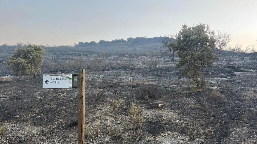 Arde León: la provincia suma nueve incendios activos, cinco graves y dos de ellos muy graves