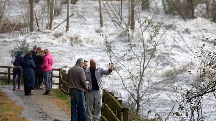 El río Ter, a su paso por la presa del Pasteral en el municipio de La Cellera de Ter (Girona), presentaba este aspecto este jueves tras las intensas lluvias producidas estos tres últimos días en la provincia de Girona por la borrasca "Gloria".