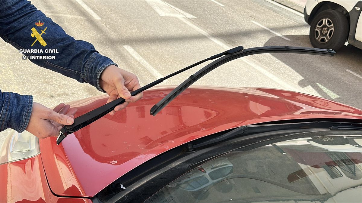 Daños a los coches en los Quintos de Alberite