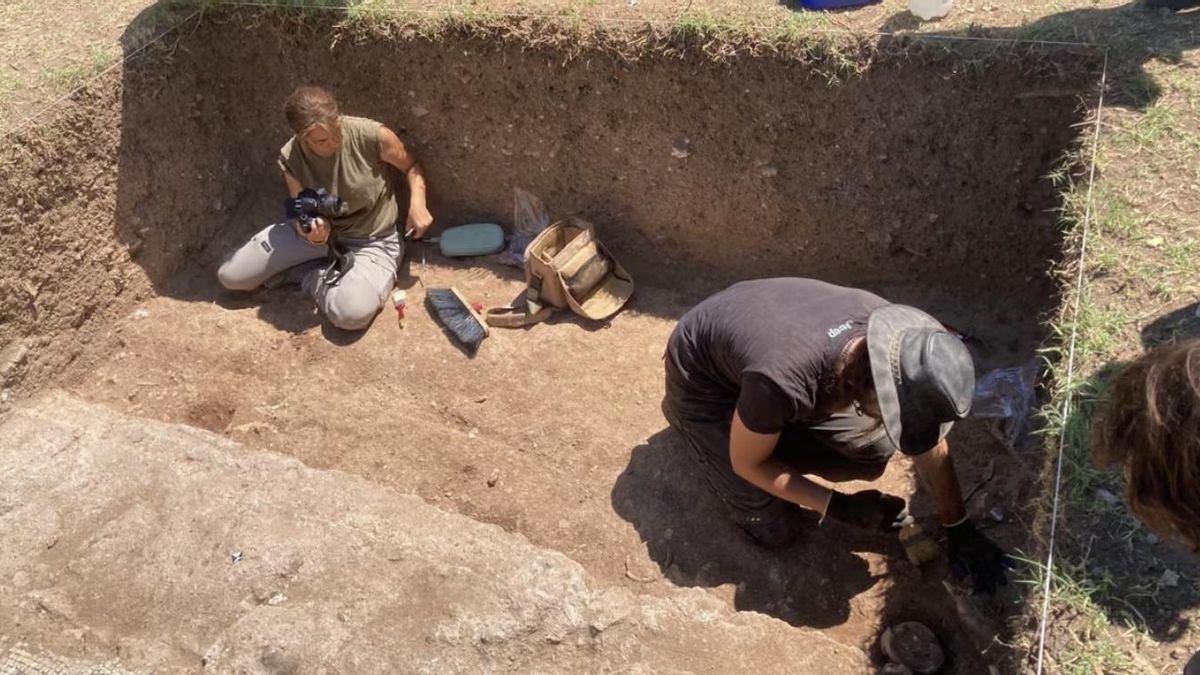 La primera excavación en la Villa de Bruto revela una piscina de 20 metros y nuevos jardines monumentales