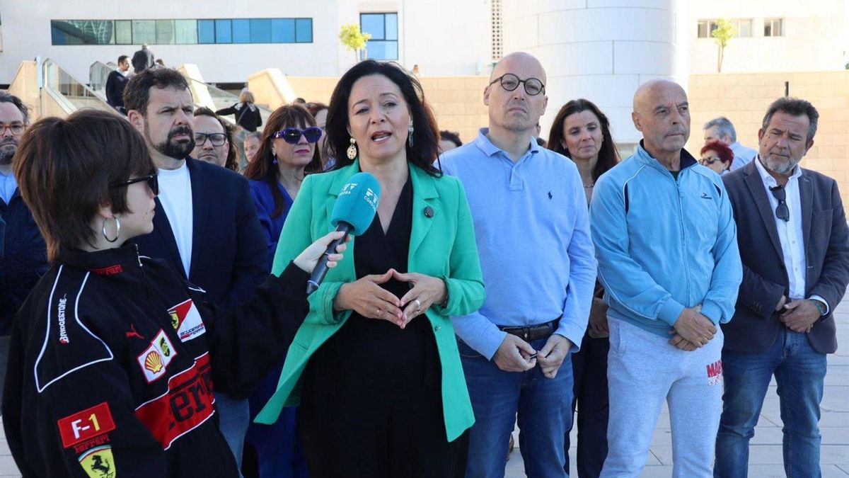Crespín (PSOE) llama en el Reina Sofía a hacer "justicia por el caos en la sanidad"