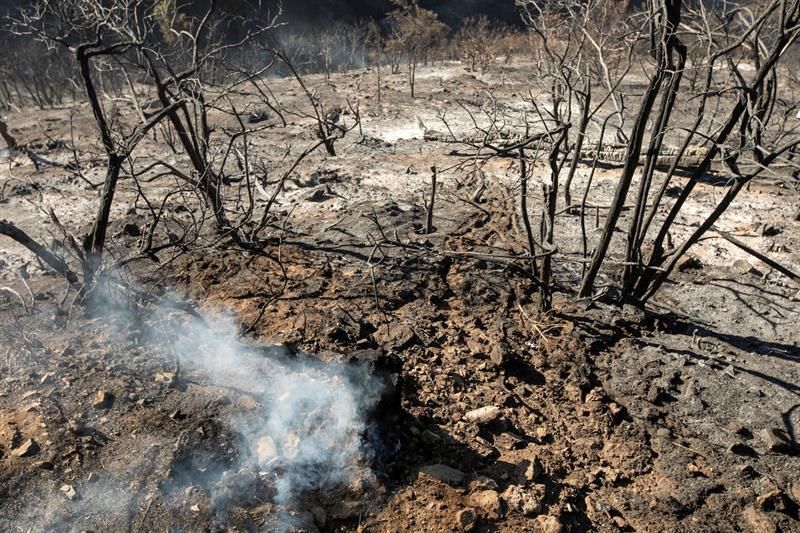 Zonas afectadas por el fuego del incendio forestal, en el Cruce de las Pereras, en el municipio de Valleseco.
