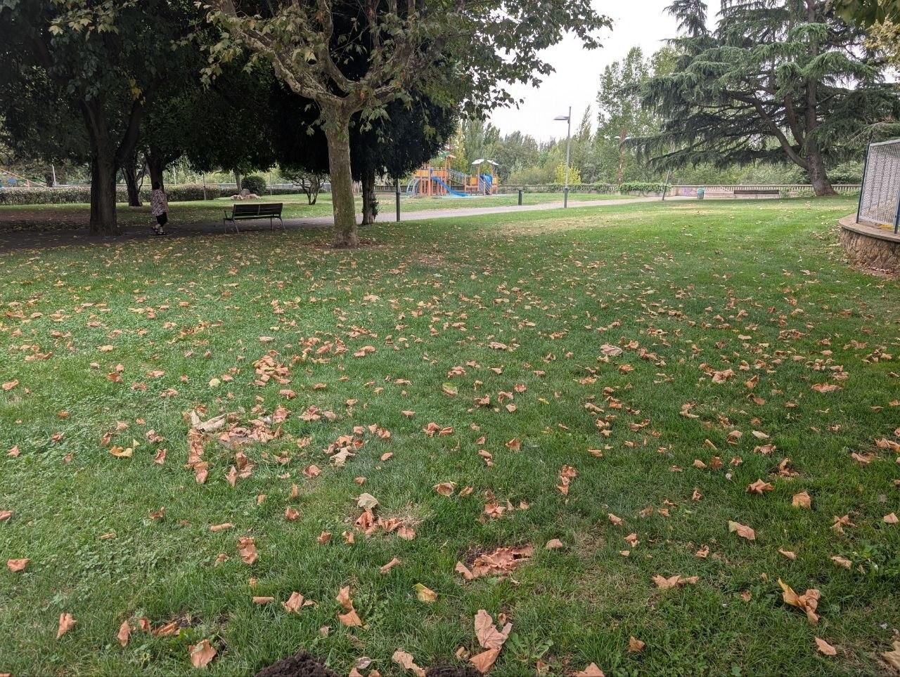 El llamativo otoño en pleno verano que se el clima acelera en el paisaje urbano de León