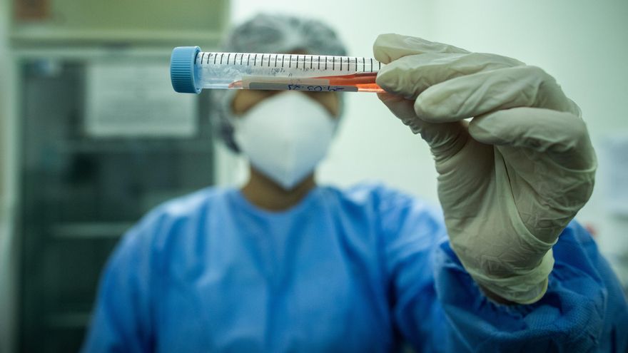 Esta nueva variante, que desde la semana pasada se le ha asignado un nombre C.37, correspondería casi al 40 % de muestras que se han procesado en Lima. EFE/Raphael Alves