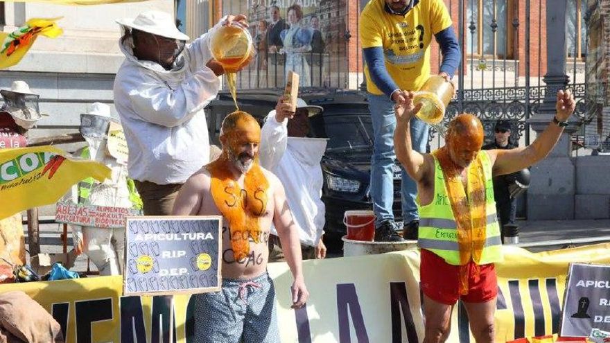 Protesta de apicultores
