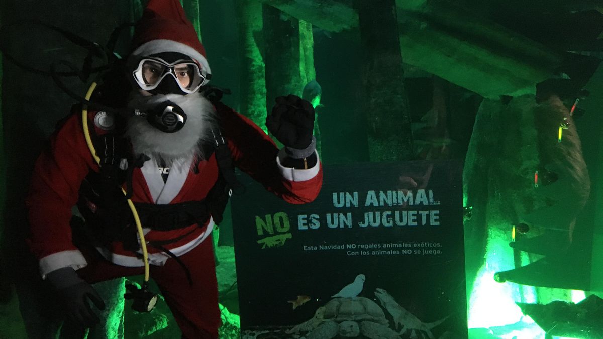 Vive la Navidad en el Acuario de Zaragoza