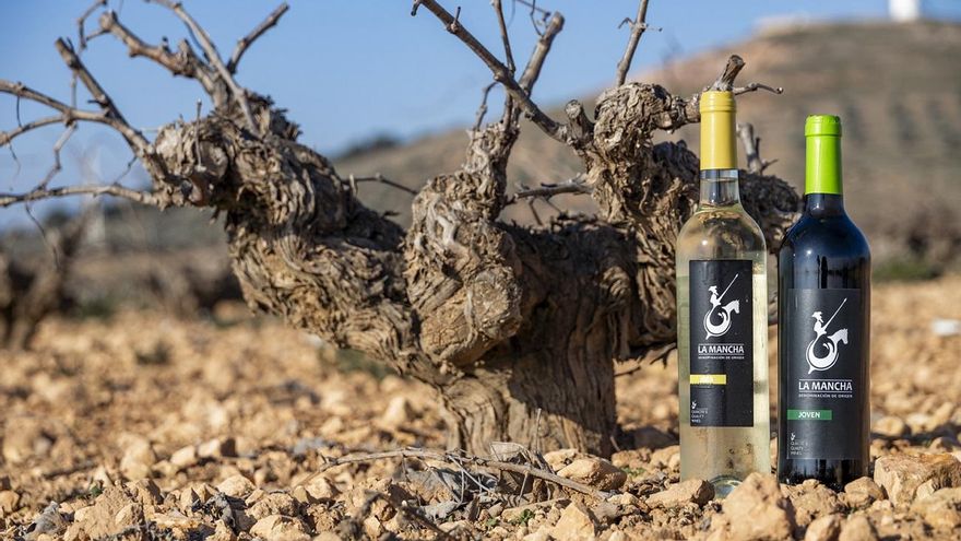 El Consejo Regulador de la DO la Mancha califica los vinos de la añada 2025 como “excelente” tras catar 50 muestras