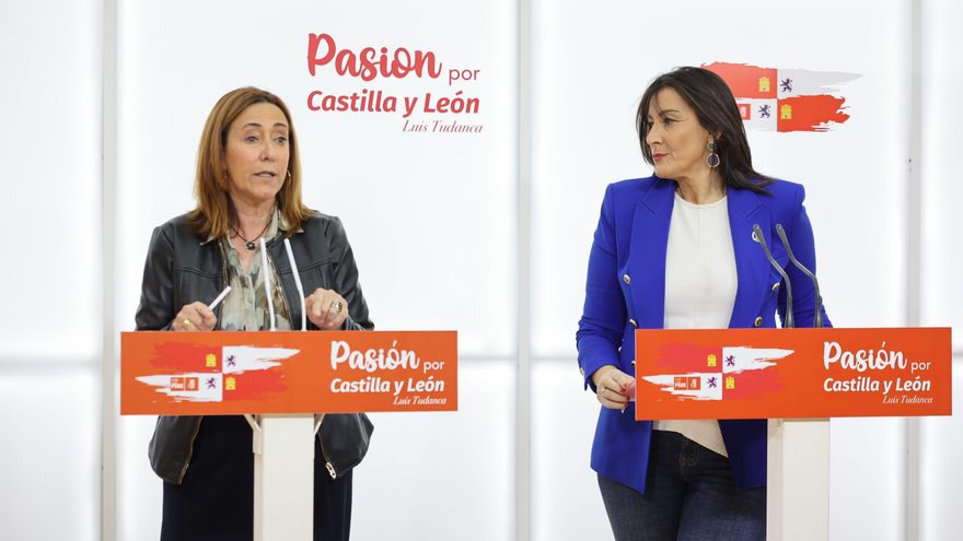 El PSOE pide a las Cortes de Castilla y León un informe sobre posibles incompatibilidades de Raúl de la Hoz (PP)