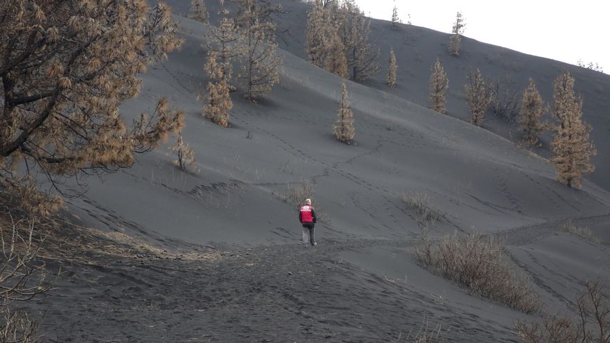 El investigador del Instituto Geográfico Nacional Stavros Meletilidis en Cabeza de Vaca.